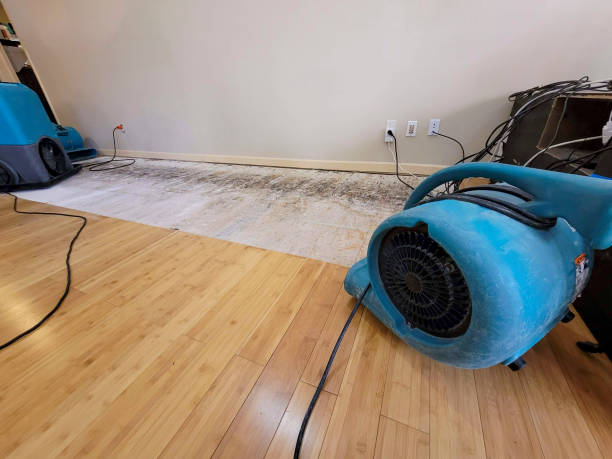 Professional Water Damage Repair technician working in Sedgwick, KS
